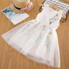 Baby Girl Floral Lace Mesh Princess Tutu Dress Children Hollow Out Wedding Christening Gown Dress For Kids Party Wear Vestidos
